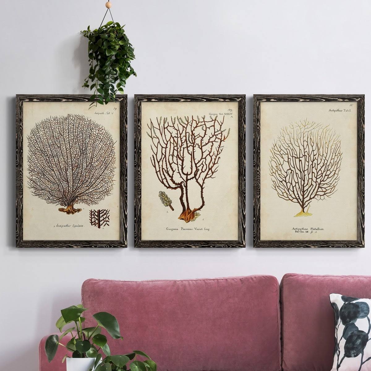 Framed Canvas Multi-Color 18x24 N3673