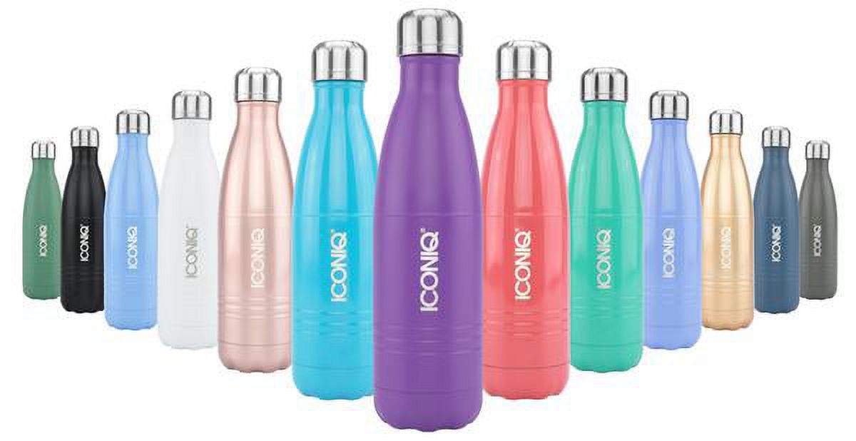 17oz Stainless Steel Vacuum Insulated Water Bottle B254315