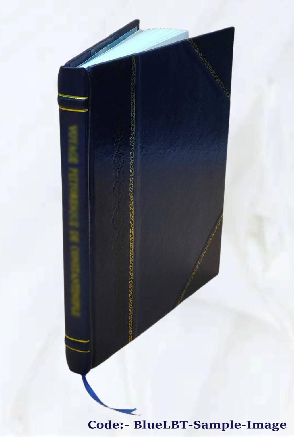 Leather Bound Book Z5264