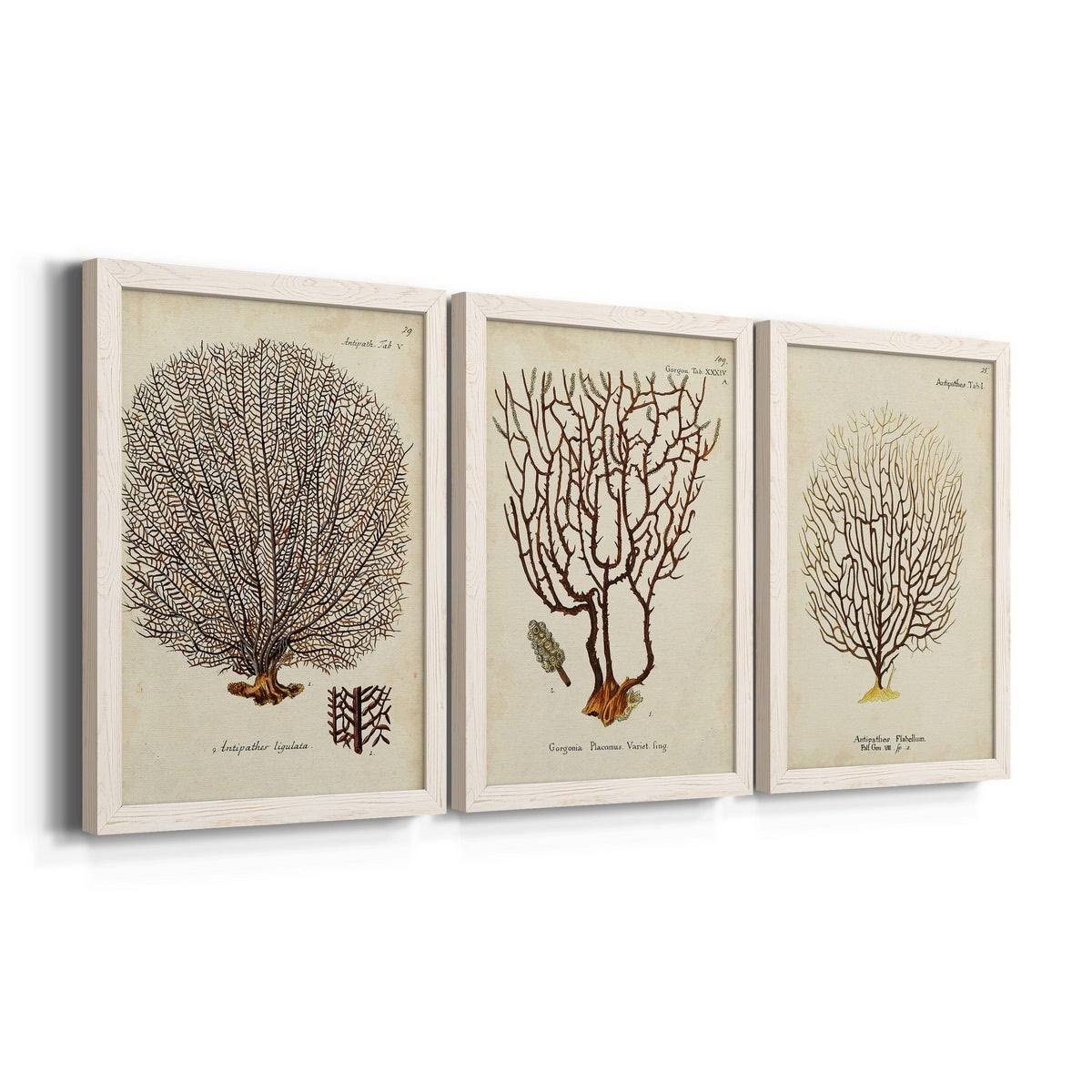 Framed Canvas Multi-Color 18x24 N3673