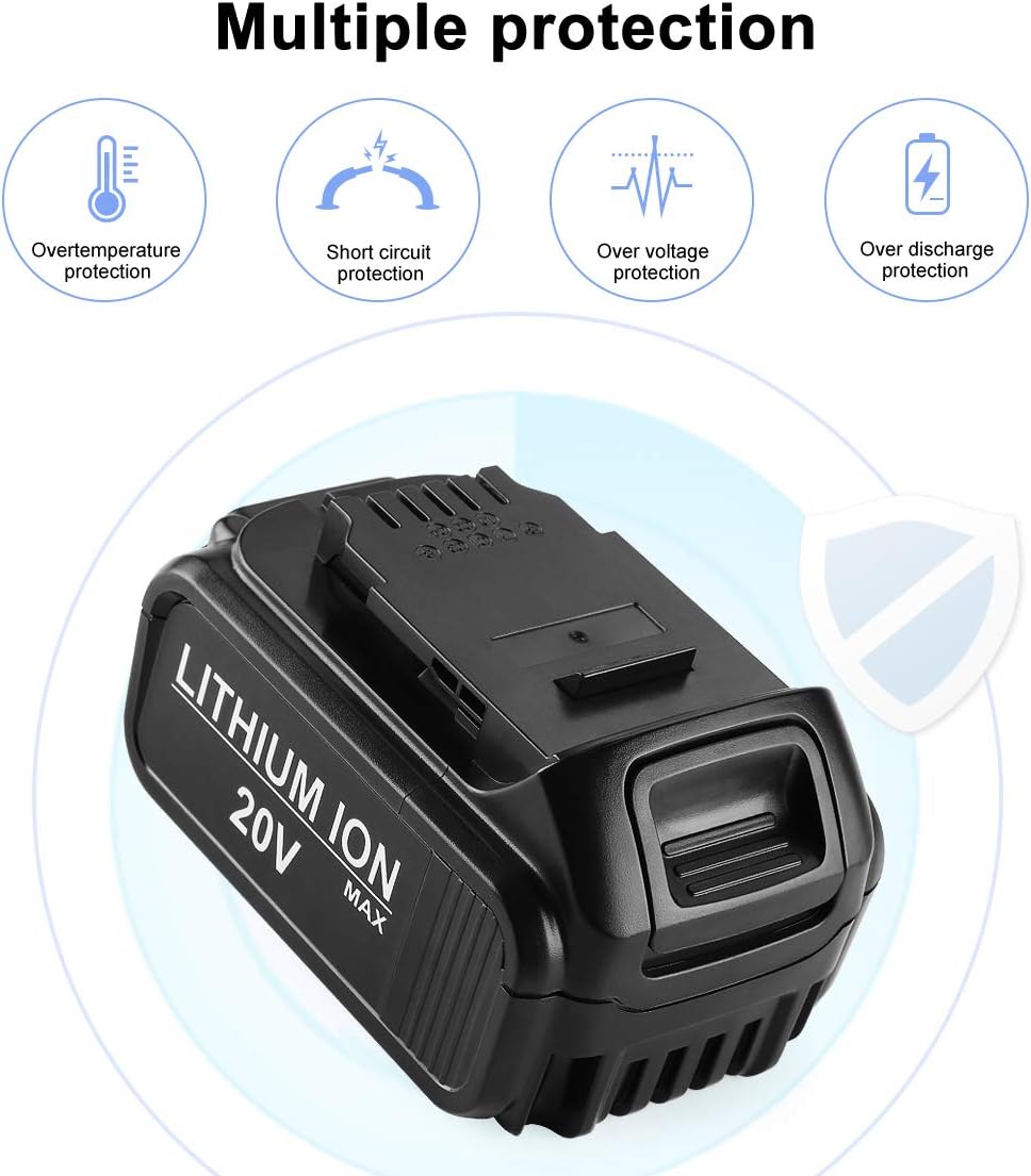 2 Pack 20V MAX Lithium Battery and Charger R25651