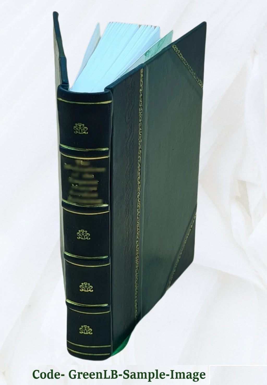 Leather Bound Book D110