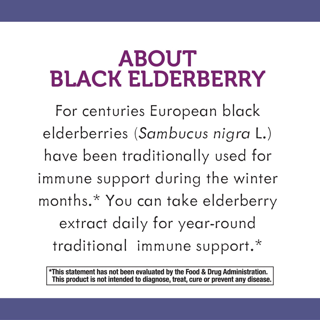 Sugar-Free Elderberry Syrup, 4 fl oz B100