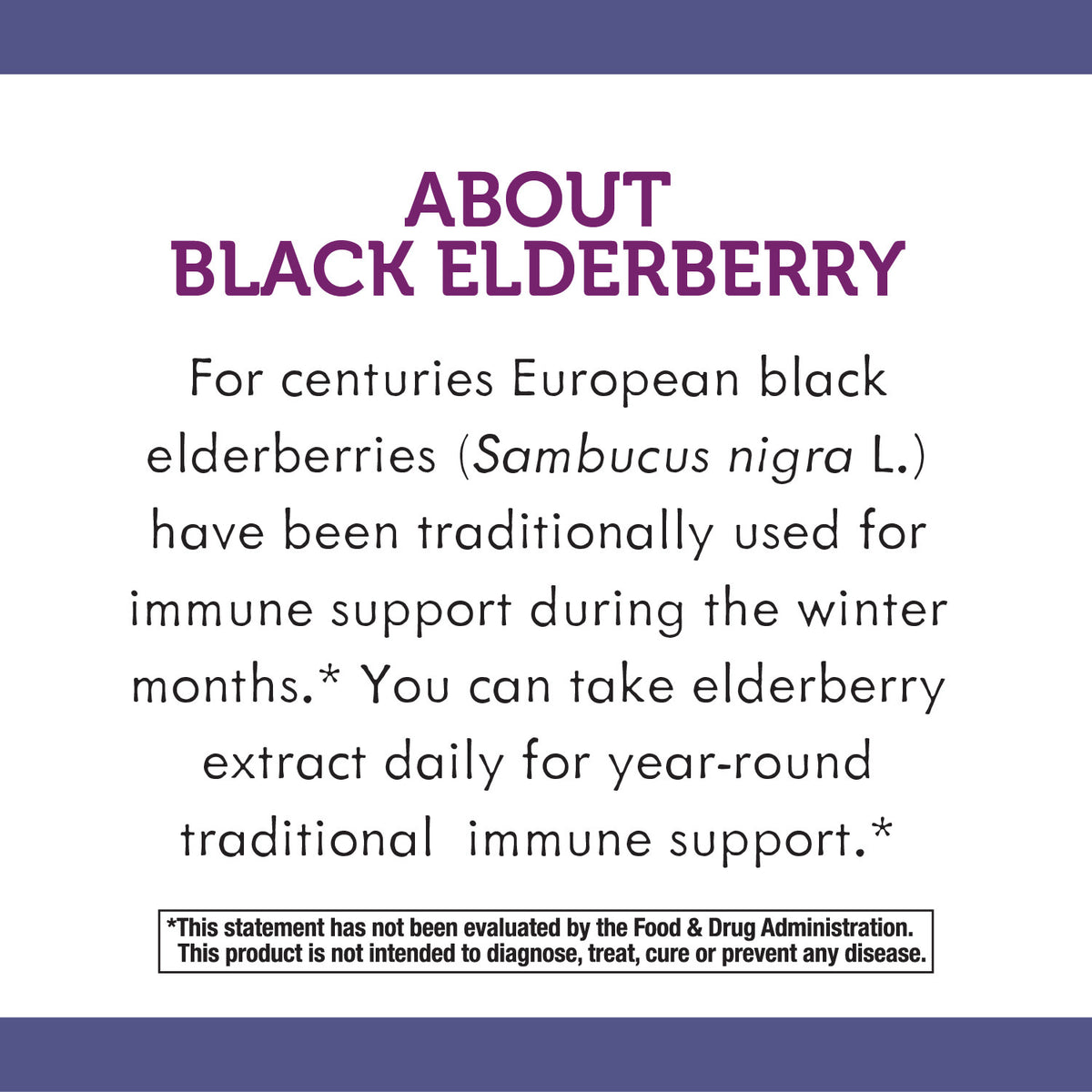 Sugar-Free Elderberry Syrup, 4 fl oz B100