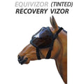 Tinted Recovery Vizor C448982