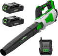 Cordless 20V Leaf Blower 350CFM with 2.0Ah Batteries Y840109