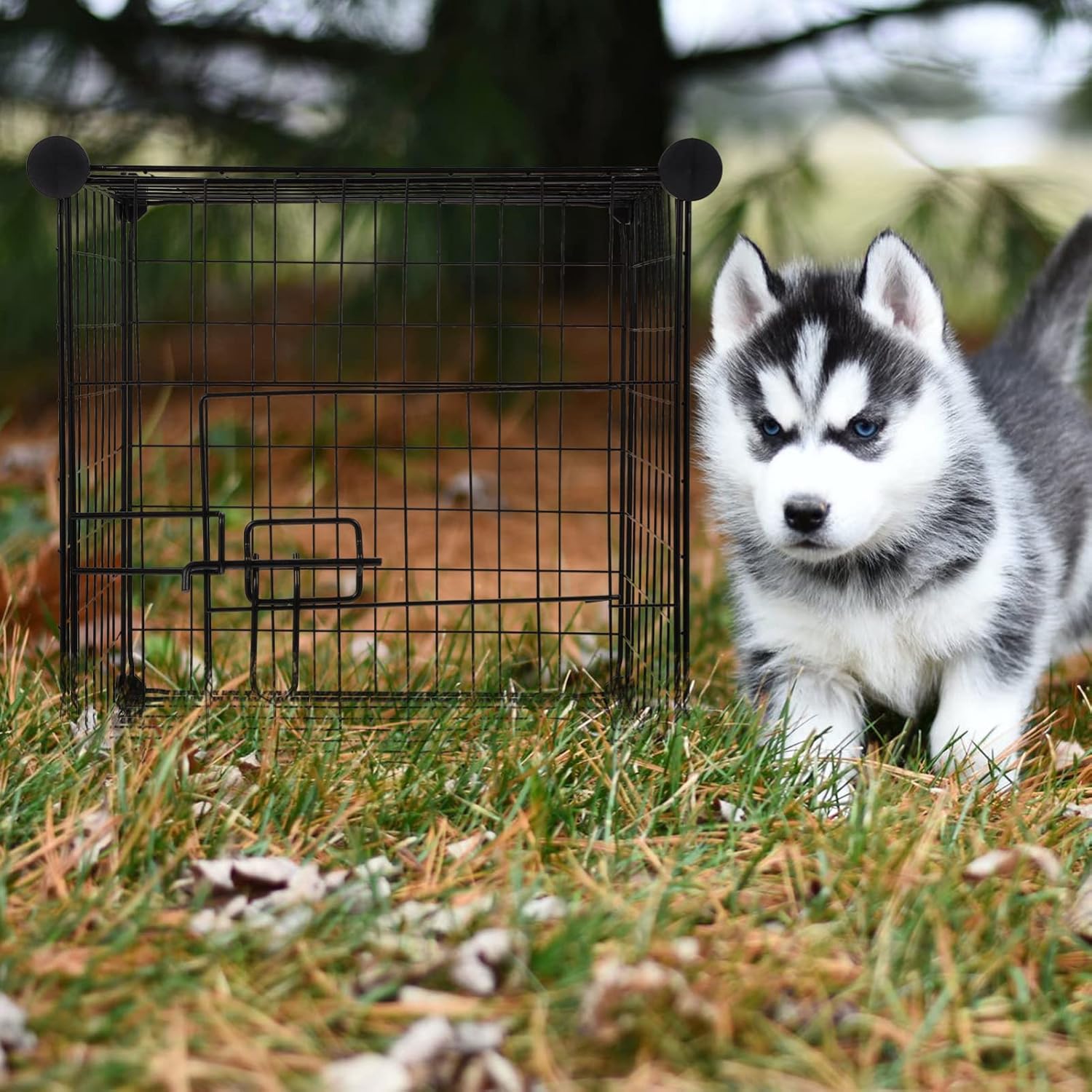 Black Pack of 2 Foldable Metal Dog Exercise Playpen X4292