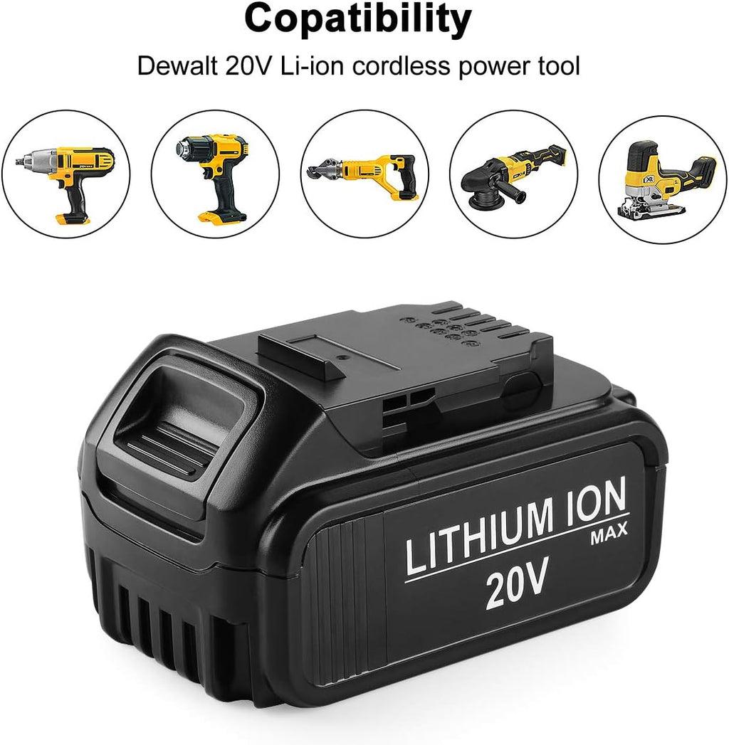 2 Pack 20V MAX Lithium Battery and Charger R25651