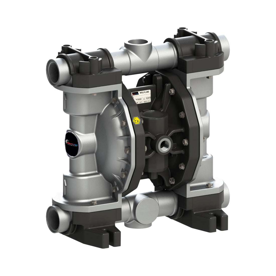 Diaphragm Pump - Aluminum - 1.1/4'' - 66 gpm F325