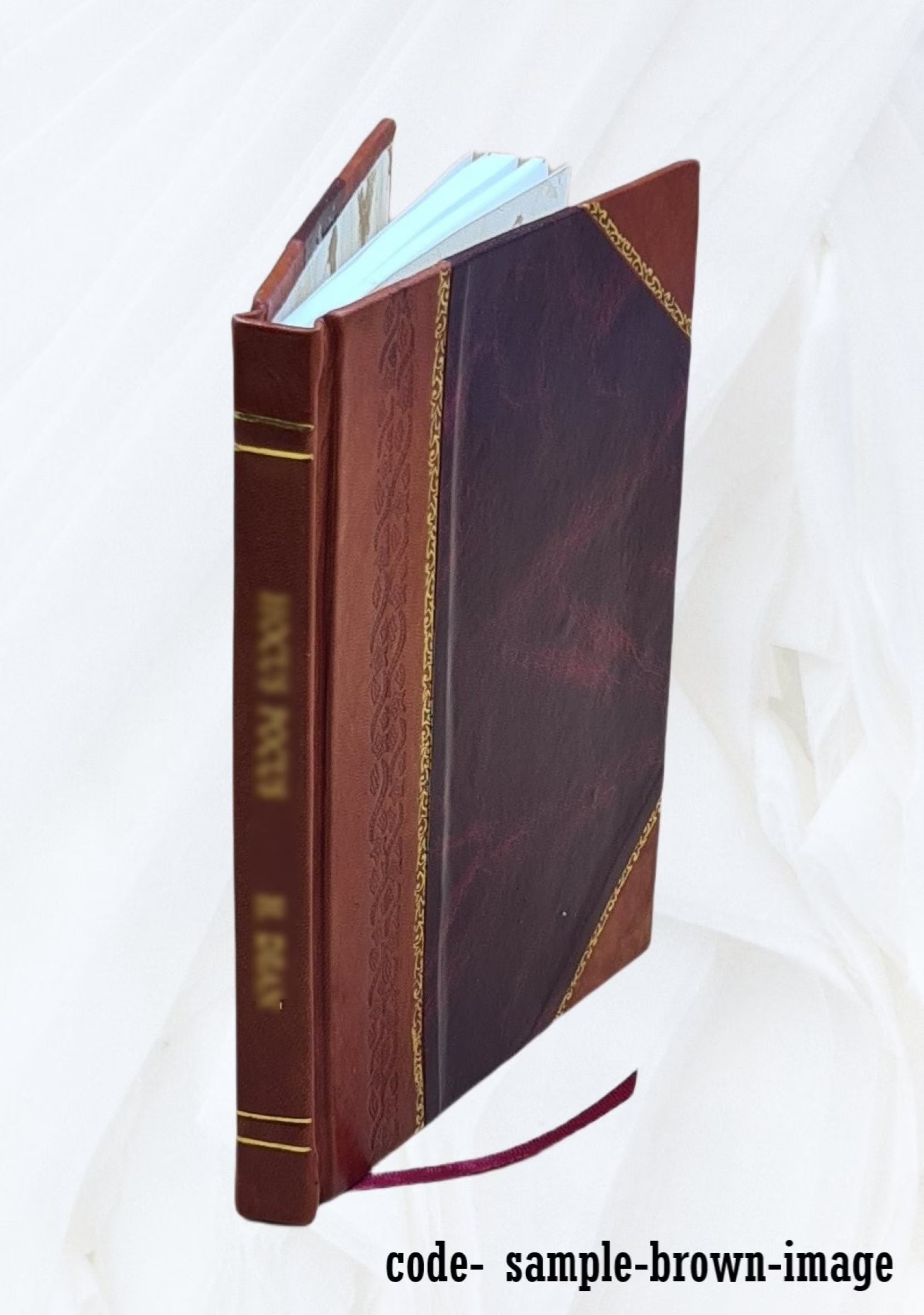 Leather Bound Book Z5264