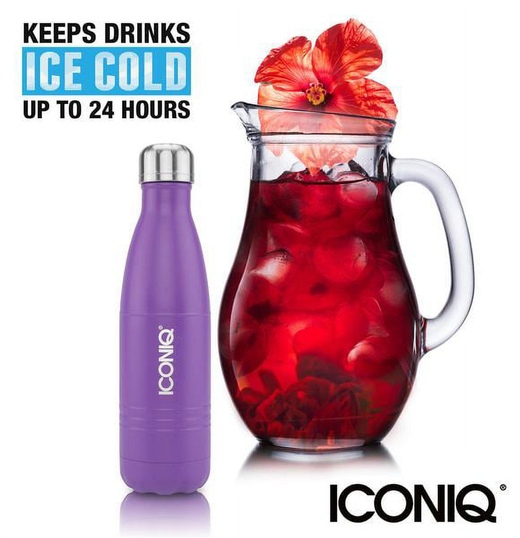 17oz Stainless Steel Vacuum Insulated Water Bottle B254315