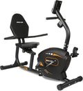 Recumbent Exercise Bike E855