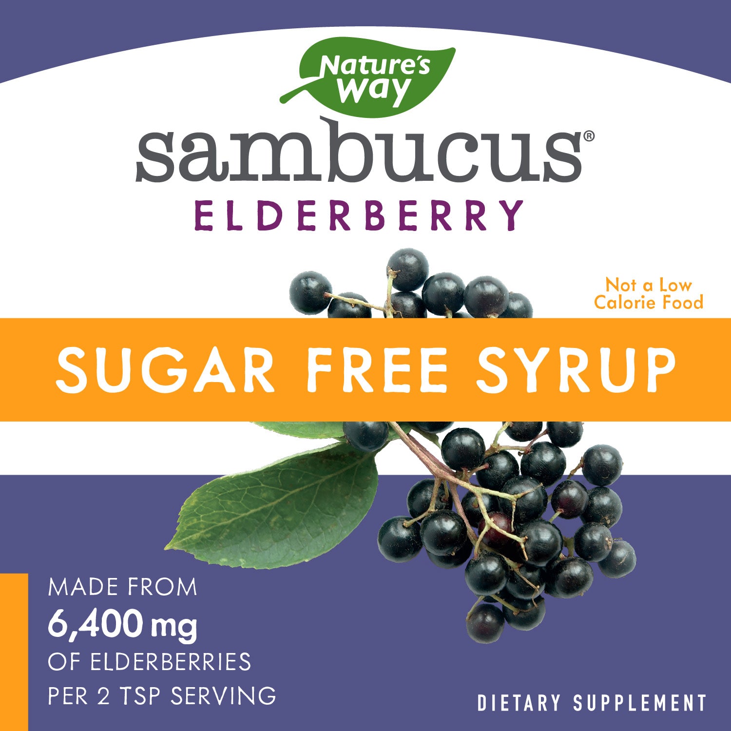 Sugar-Free Elderberry Syrup, 4 fl oz B100