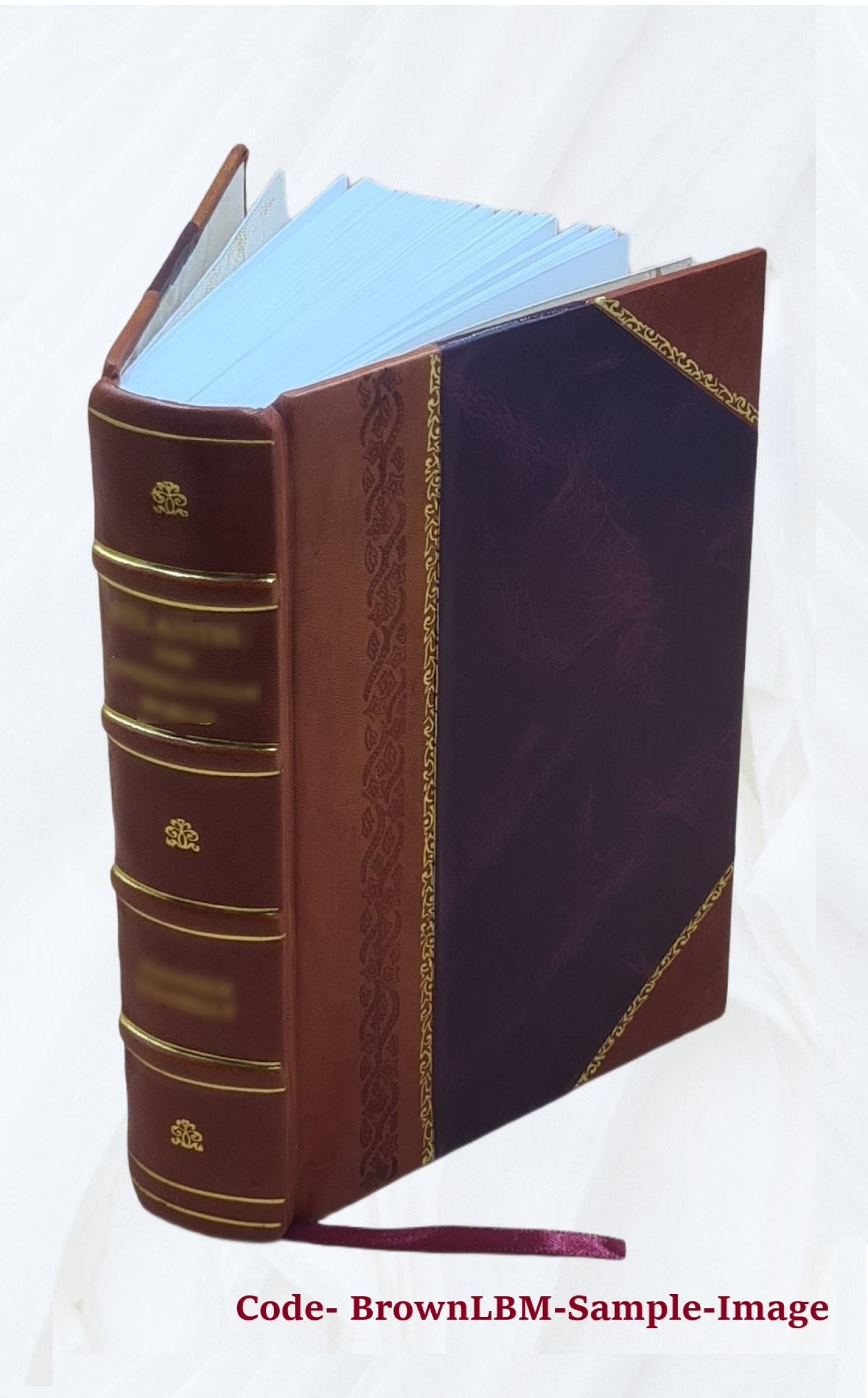 Abridged narrative of travels through the interior of South America Z454