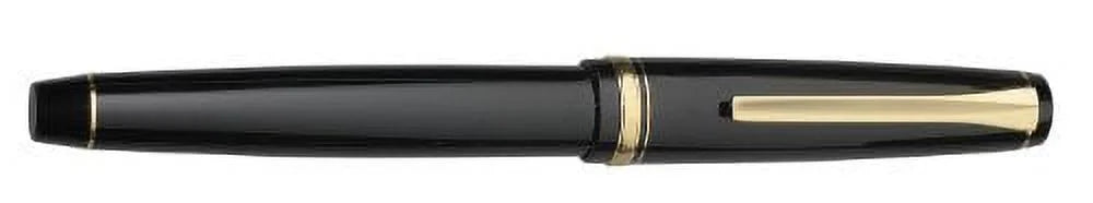 Black Fountain Pen with Gold Accents, Soft Broad Nib I995