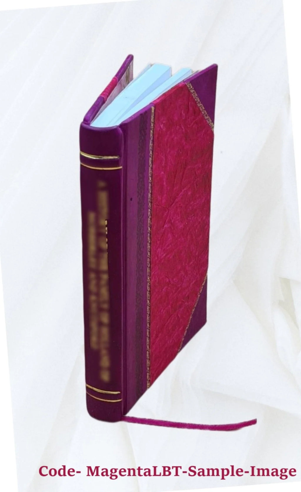 Leather Bound Book Z5264