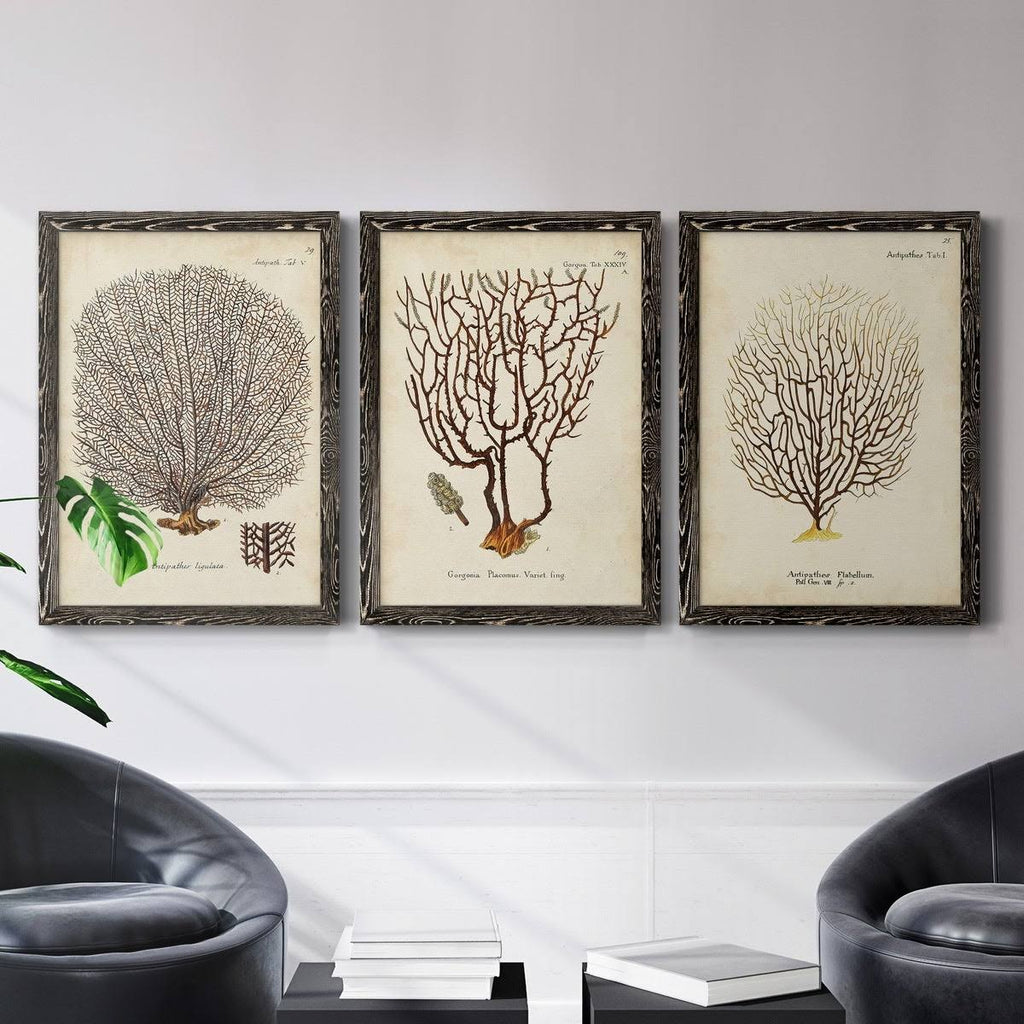 Framed Canvas Multi-Color 18x24 N3673