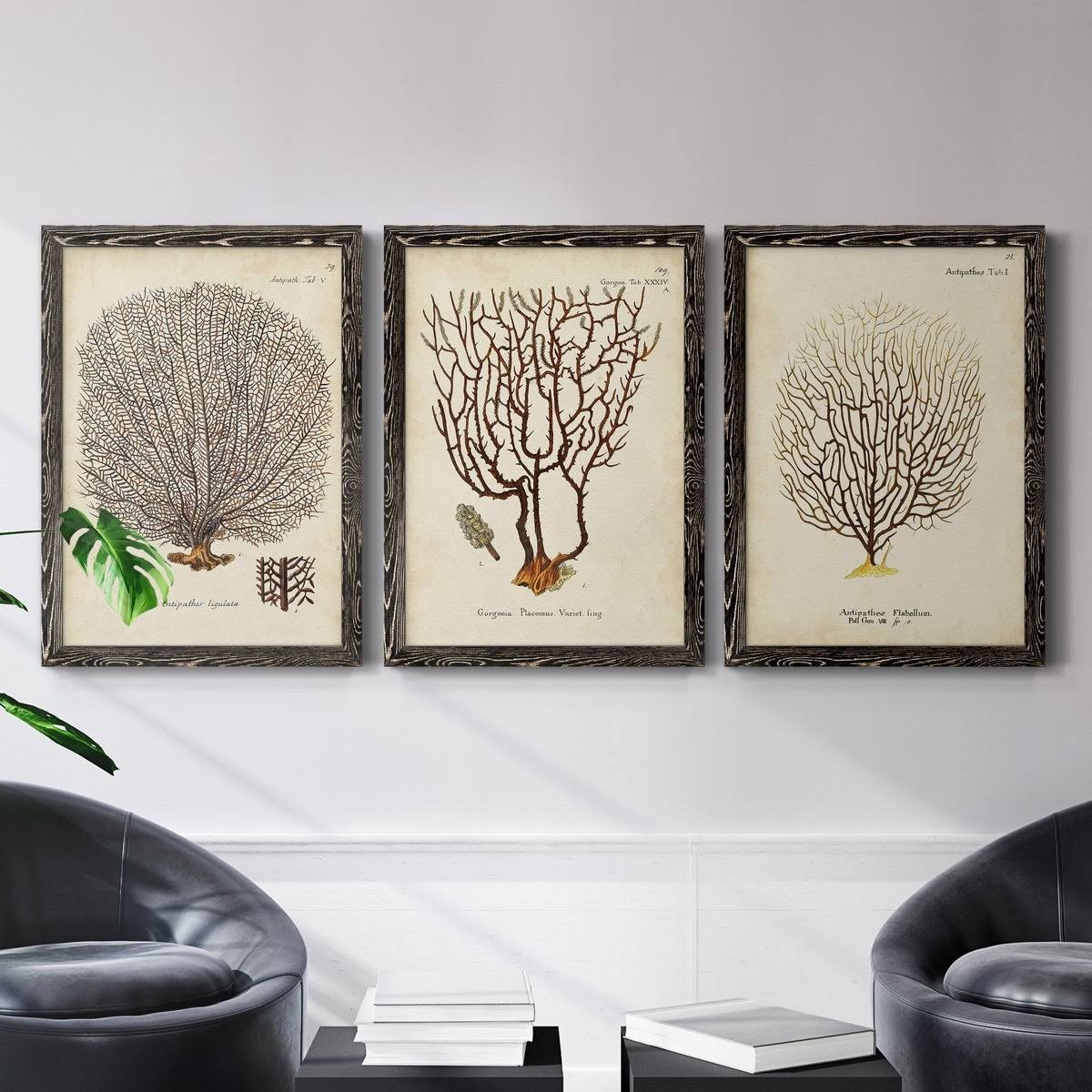 Framed Canvas Multi-Color 18x24 N3673
