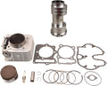 Axle Bearing Carrier & Rebuild Kit Cylinder P99174