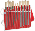 10 Piece All Purpose Hand File Set with Handles H44225
