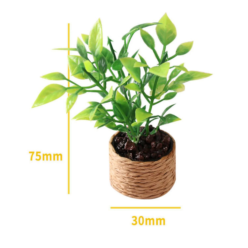 1:12 Scale Miniature Potted Plant Scenery Supplies C838673