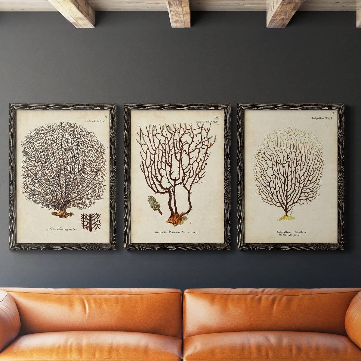 Framed Canvas Multi-Color 18x24 N3673