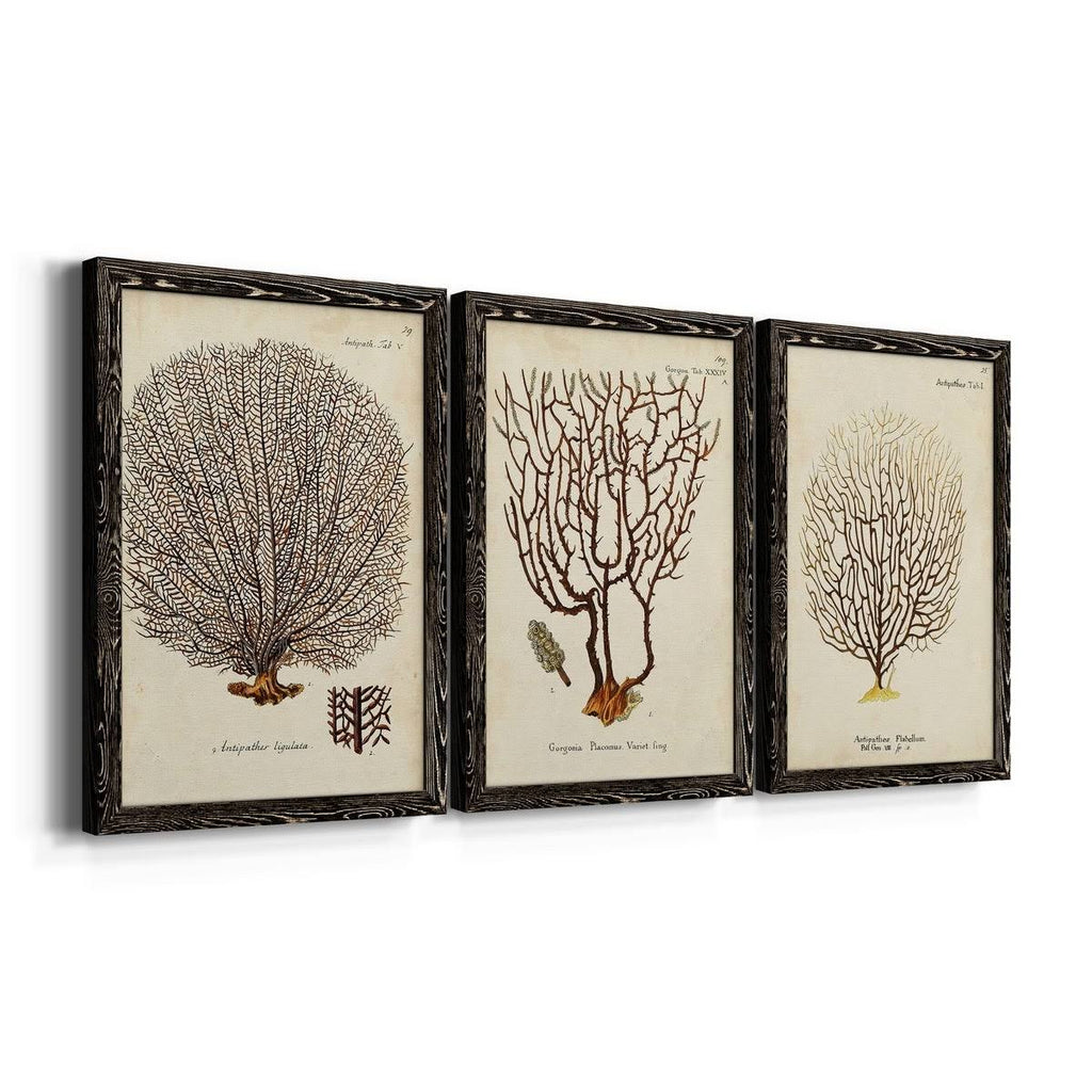Framed Canvas Multi-Color 18x24 N3673