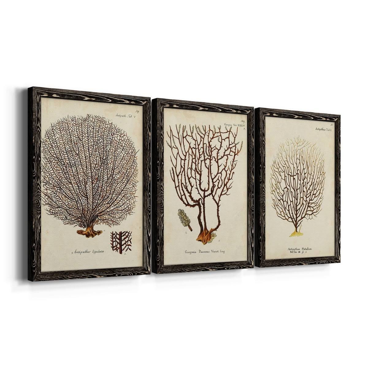 Framed Canvas Multi-Color 18x24 N3673