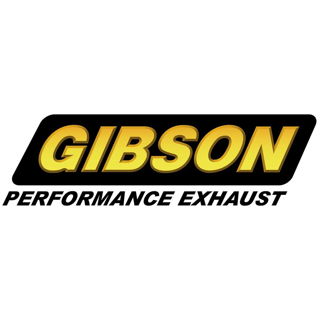 Aluminized Cat-Back Single Exhaust System L9621