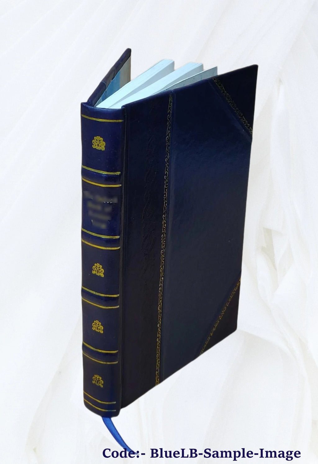 Leather Bound Book D110
