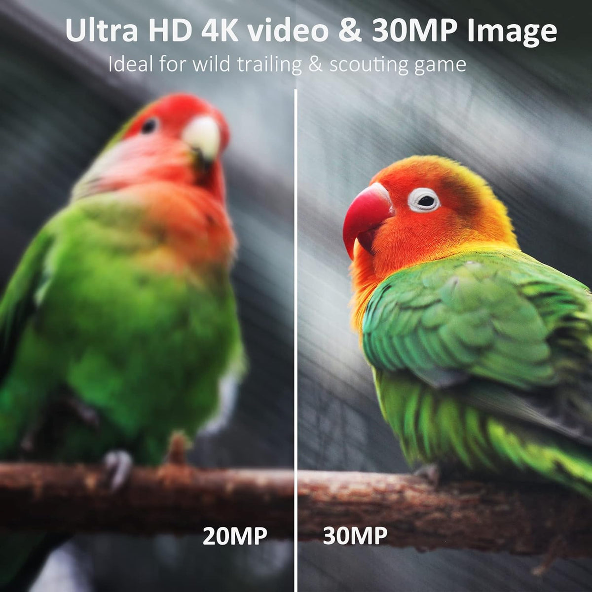 4K 30MP H.265 WiFi Trail Camera with Night Vision, Waterproof IP66, 64GB SD Card Included M8400
