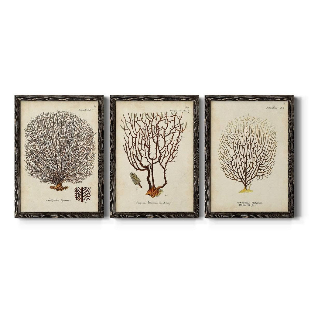 Framed Canvas Multi-Color 18x24 N3673