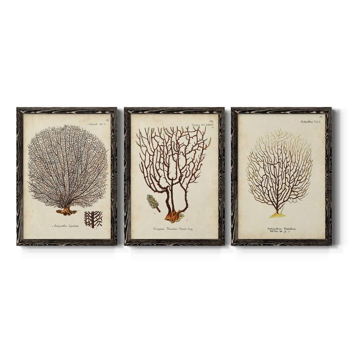 Framed Canvas Multi-Color 18x24 N3673