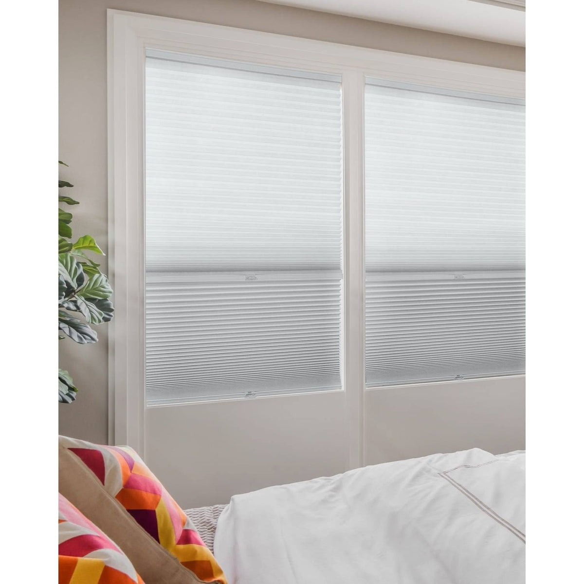 Cordless Cellular Shades D614