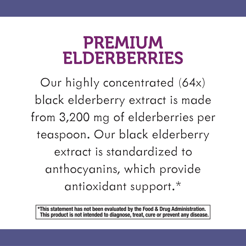 Sugar-Free Elderberry Syrup, 4 fl oz B100