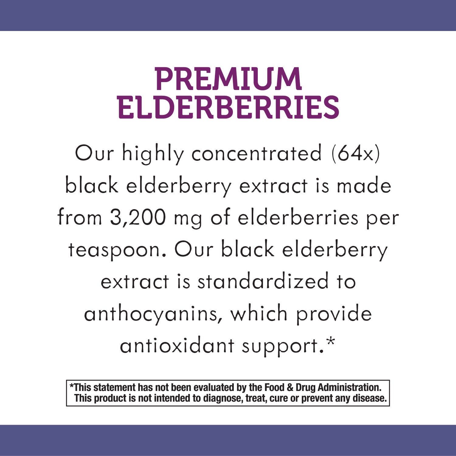 Sugar-Free Elderberry Syrup, 4 fl oz B100