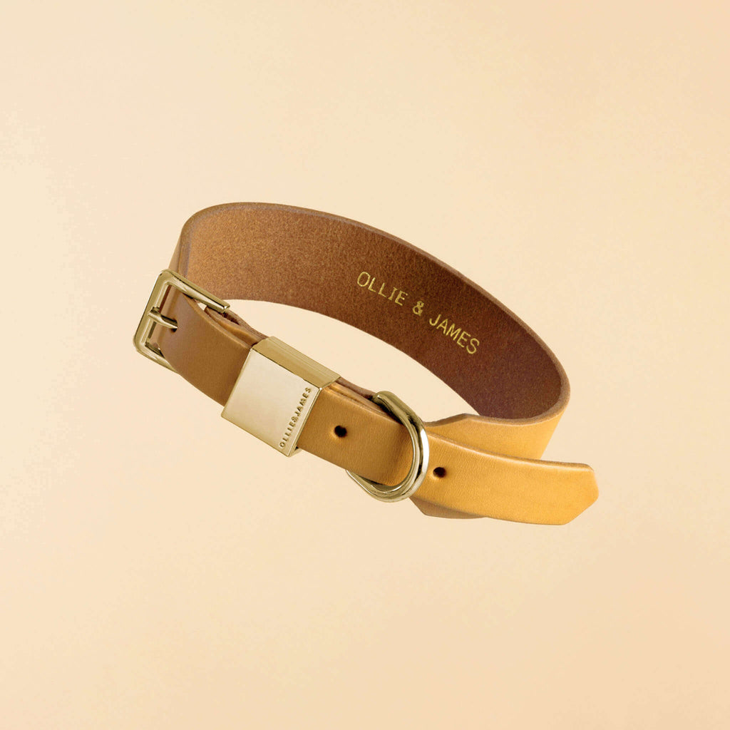 Camel Leather Dog Collar F456