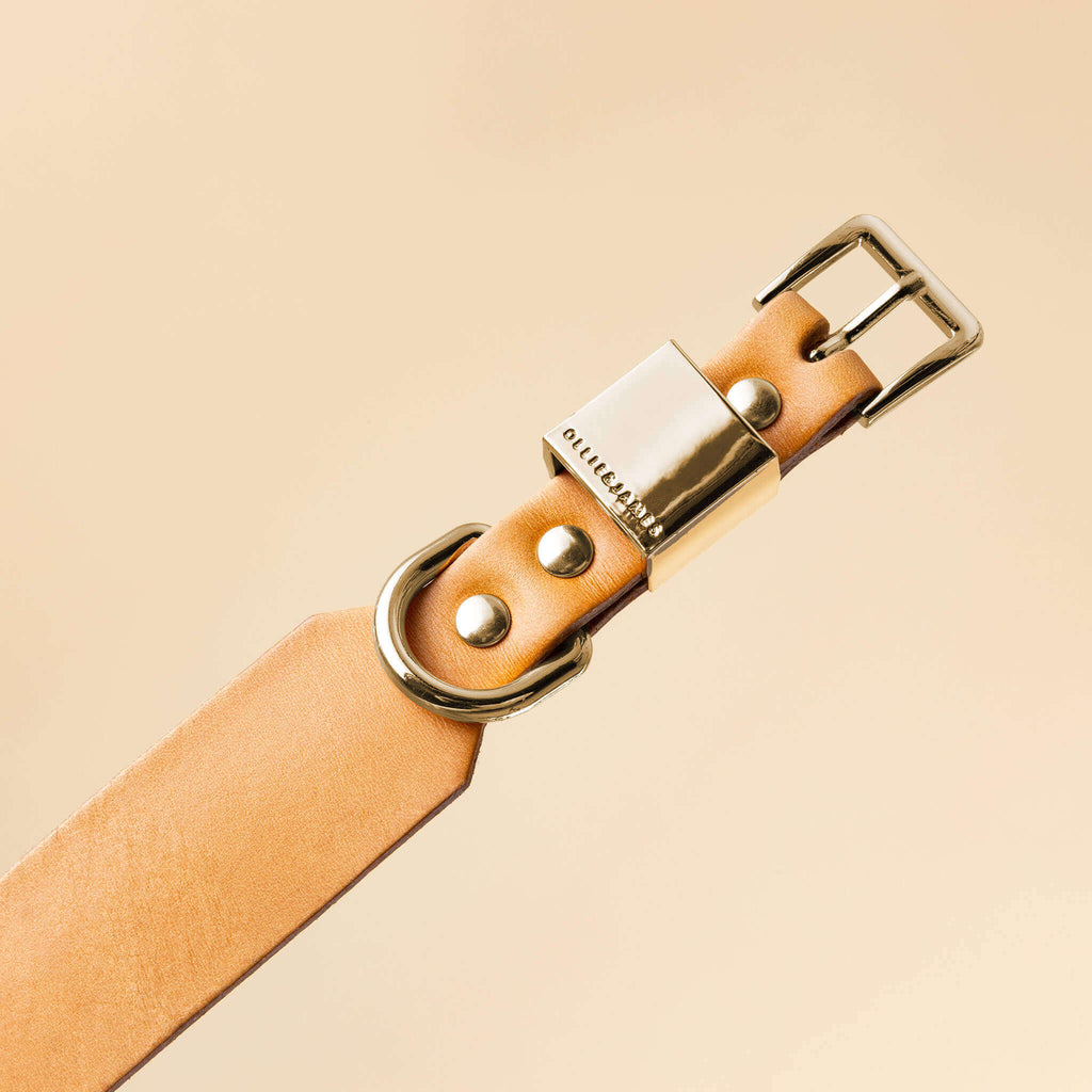 Camel Leather Dog Collar F456