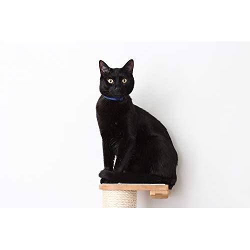 Cat Mod Climbing Vertical Sisal Pole Wall, Unfinished D4363