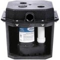 1/3 HP Cast Iron Remote Drain Pump System P540219