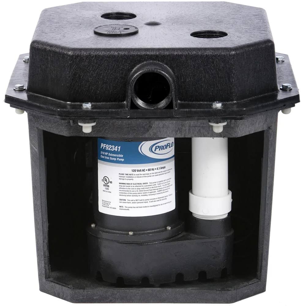 1/3 HP Cast Iron Remote Drain Pump System P540219