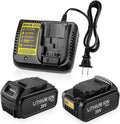 2 Pack 20V MAX Lithium Battery and Charger R25651