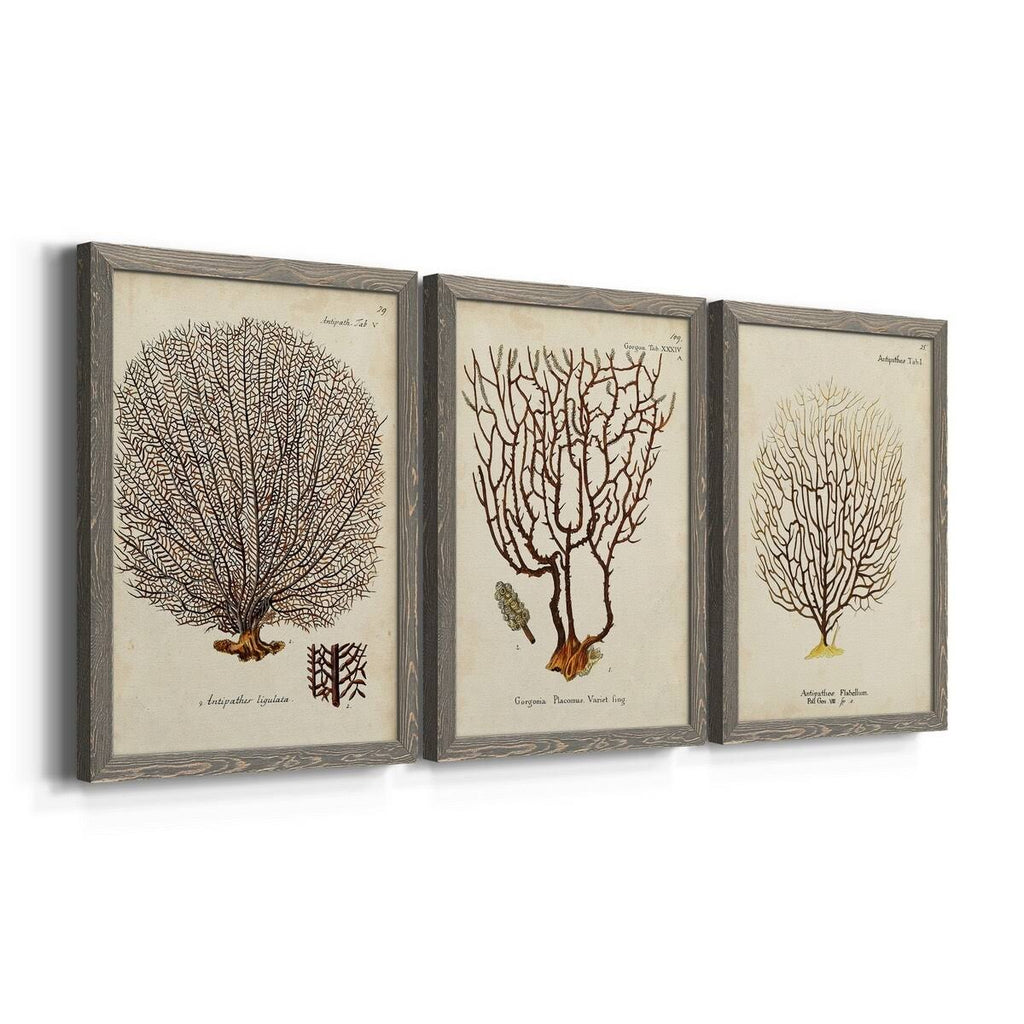 Framed Canvas Multi-Color 18x24 N3673