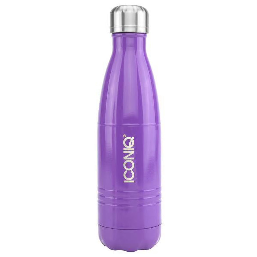 17oz Stainless Steel Vacuum Insulated Water Bottle B254315