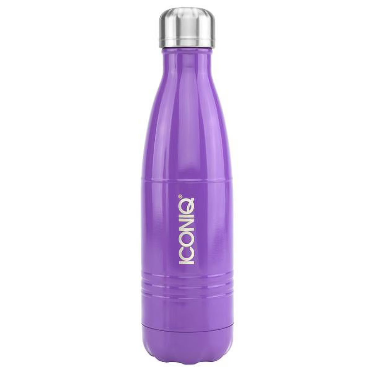 17oz Stainless Steel Vacuum Insulated Water Bottle B254315