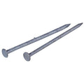 Bright Spike Nail 50 lbs. O43907