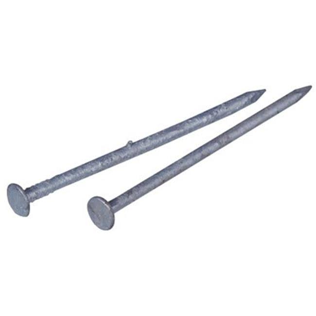 Bright Spike Nail 50 lbs. O43907