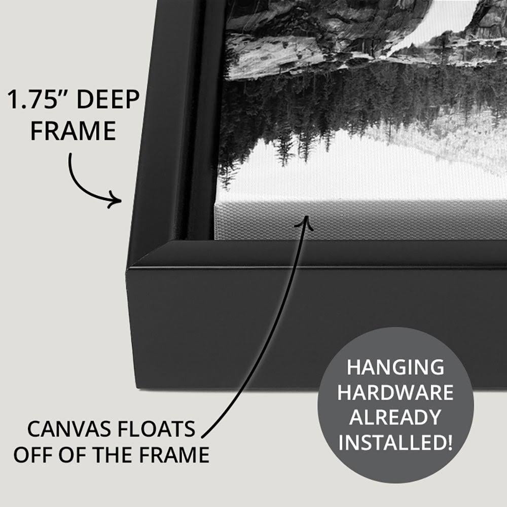Black Float Frame Canvas Art - 48 x 32 V1566