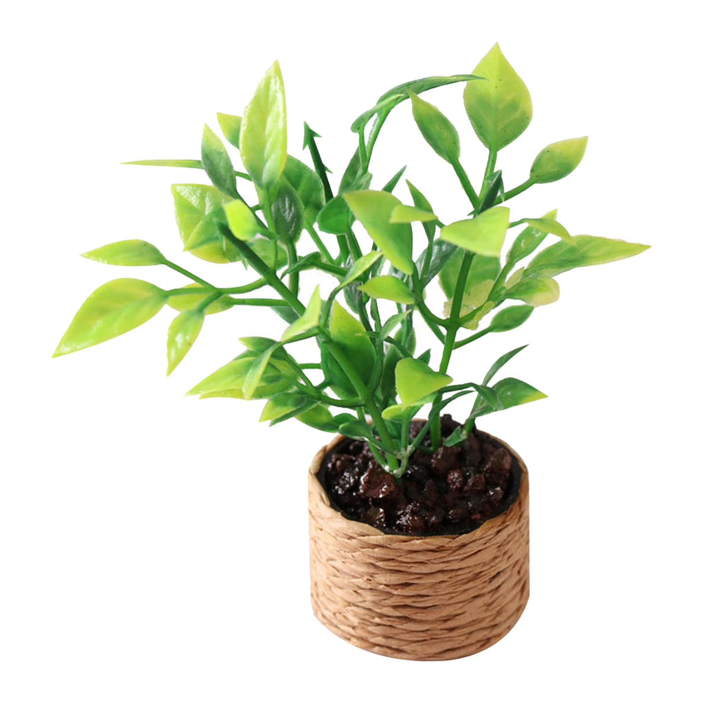 1:12 Scale Miniature Potted Plant Scenery Supplies C838673