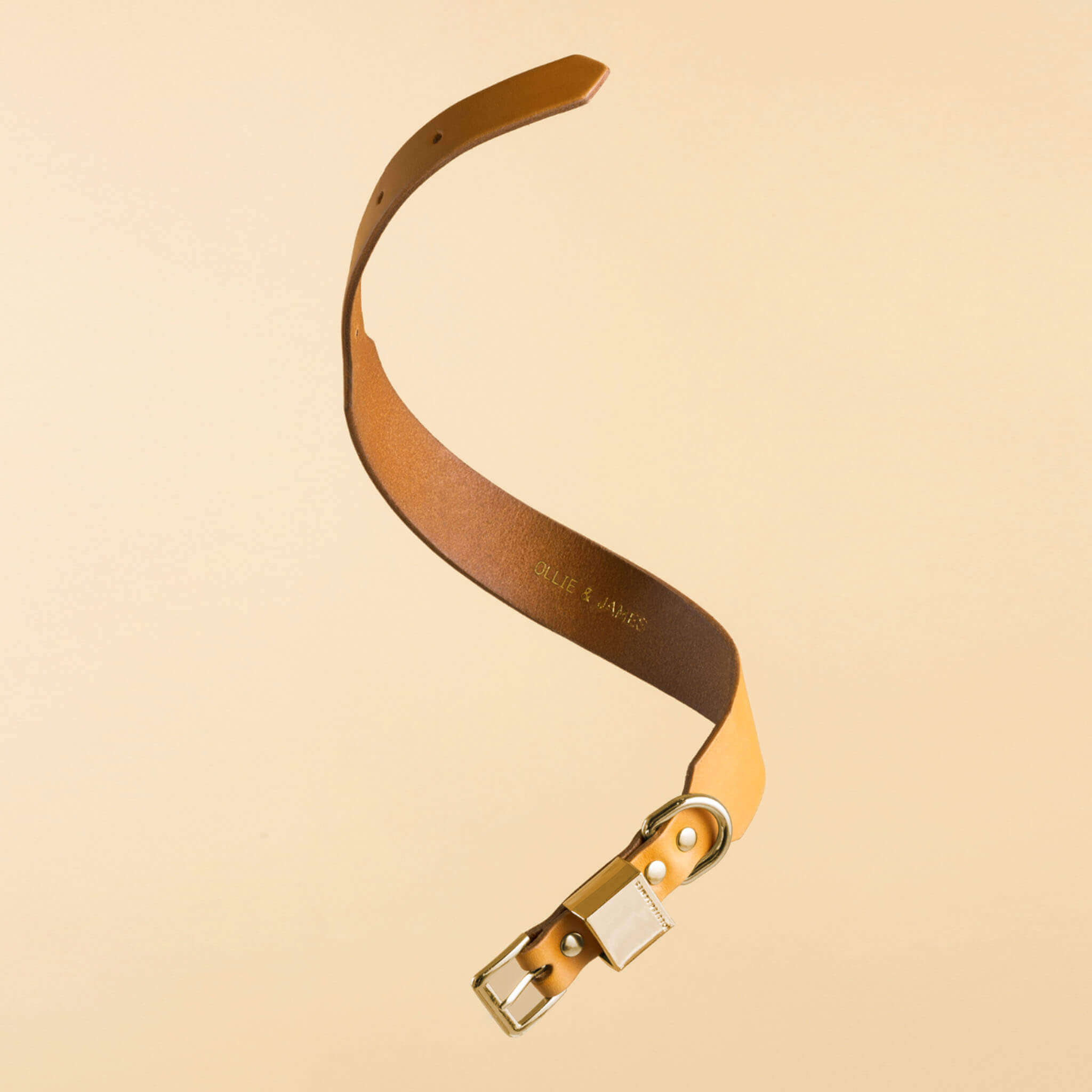 Camel Leather Dog Collar F456